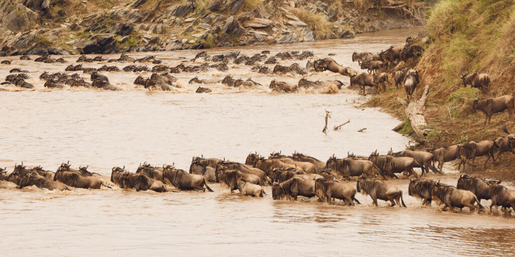 masai-mara-photography-tour
