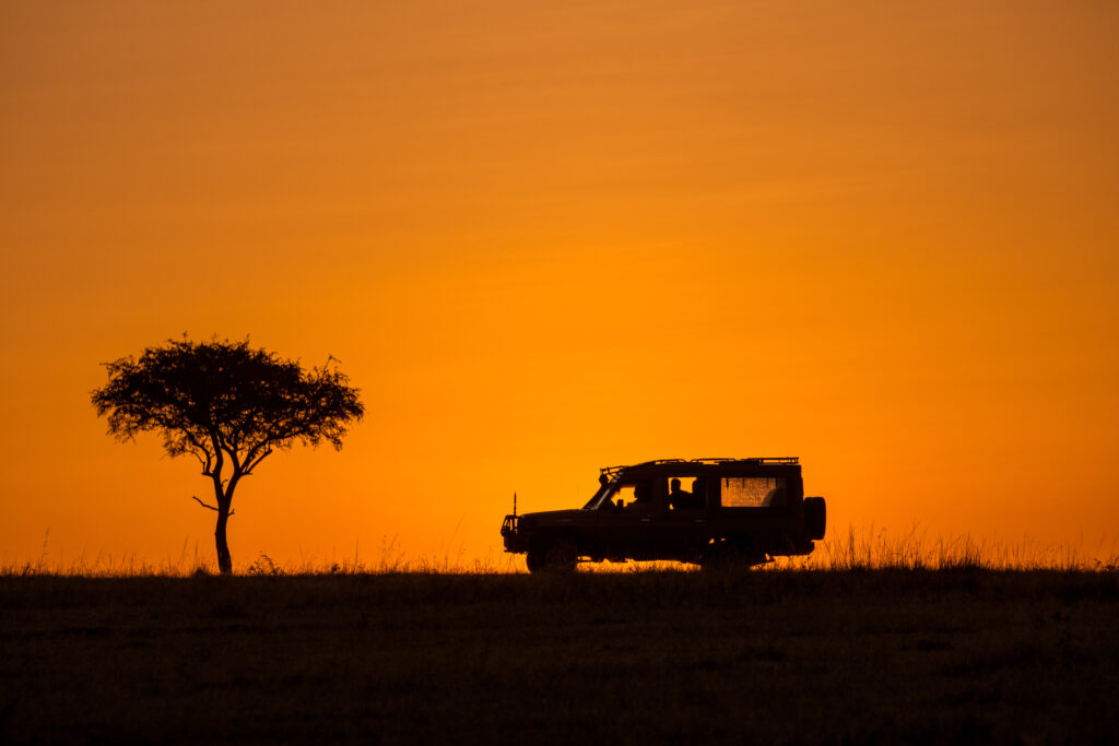 safari-drive