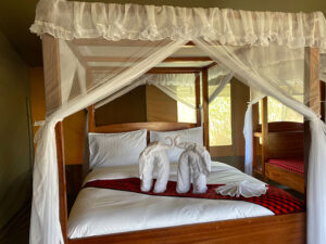 Masai Mara lodge