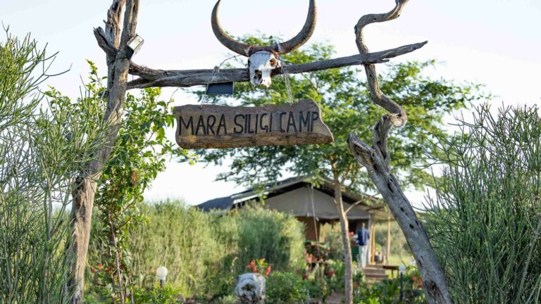 masai mara safari packages