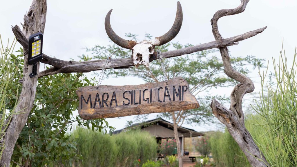 mara-siligi-camp