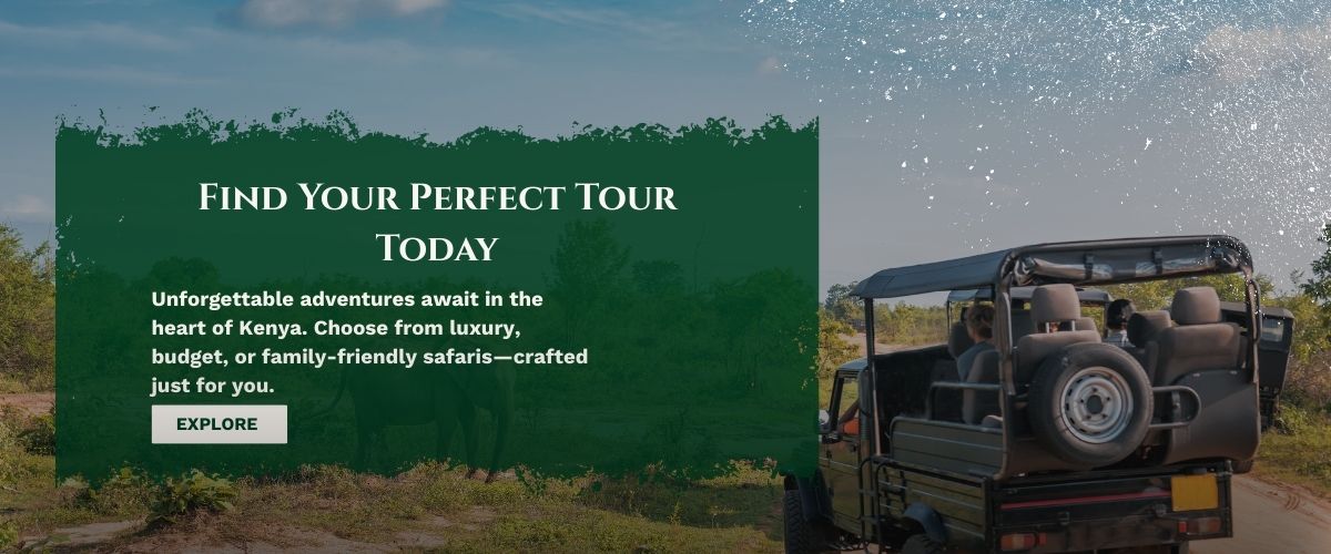 kenya-safari-tours