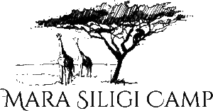 Picture of Team Siligi