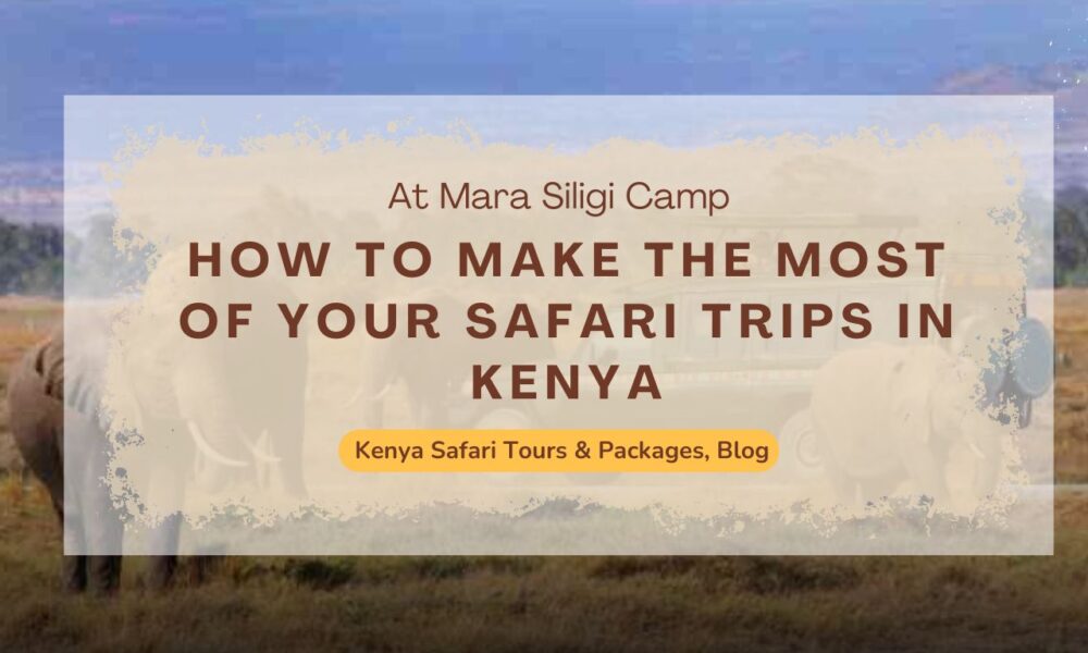 why-choose-kenya-safari-packages-with-mara-siligi-camp