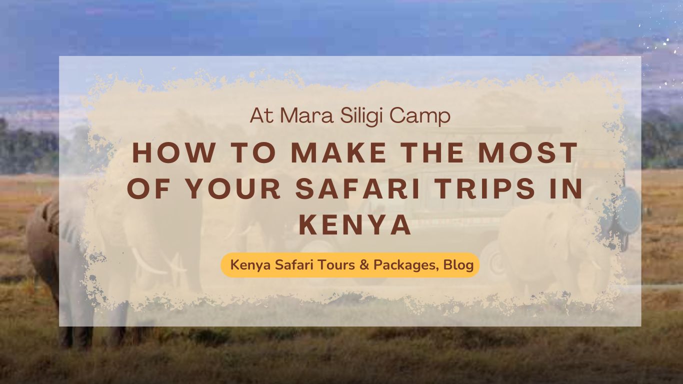 why-choose-kenya-safari-packages-with-mara-siligi-camp
