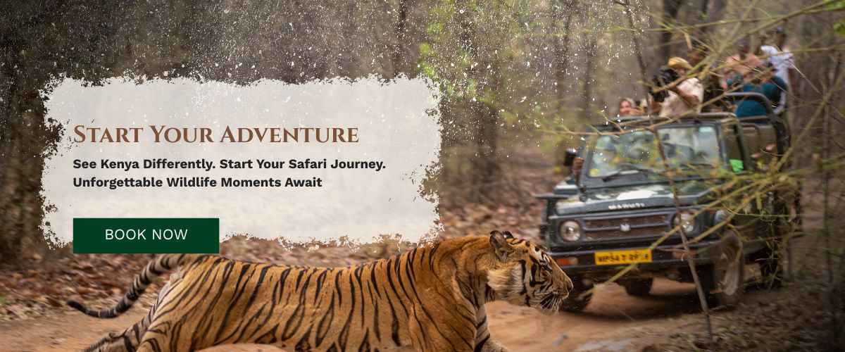 kenya-safari-packages