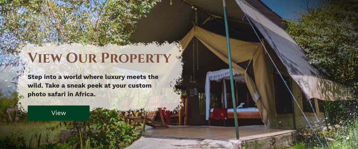 Masai Mara photography tour packages