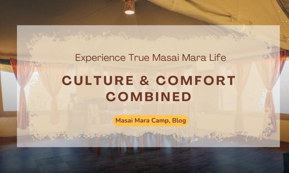 culture-comfort-combined-experience-true-masai-mara-life