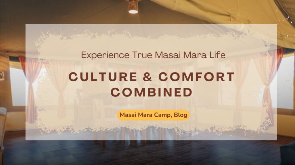 culture-comfort-combined-experience-true-masai-mara-life