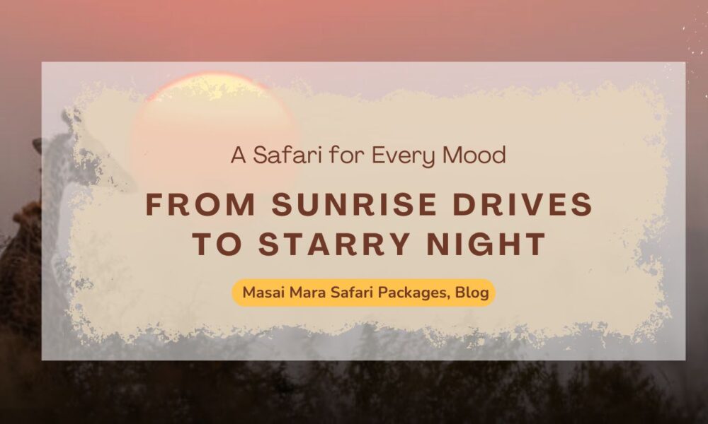 from-sunrise-drives-to-starry-night