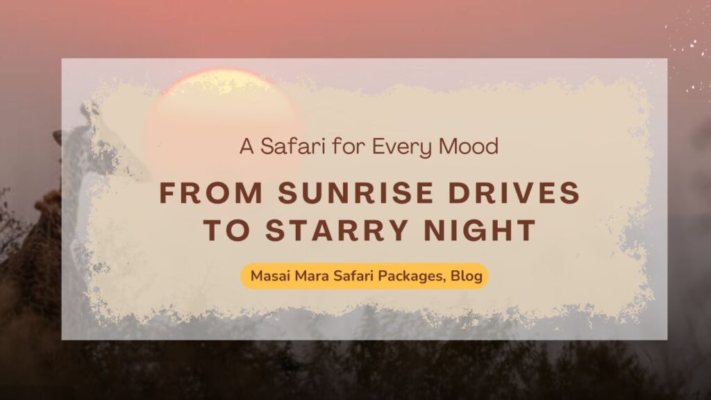 from-sunrise-drives-to-starry-night