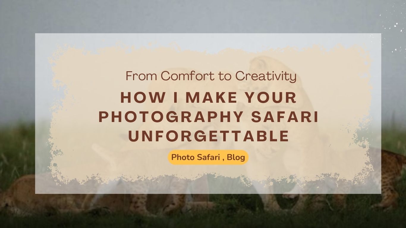 how-i-make-your-photography-safari-in-africa-unforgettable