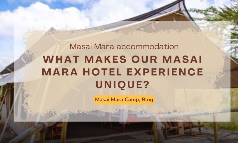 what-makes-our-masai-mara-hotel-experience-unique