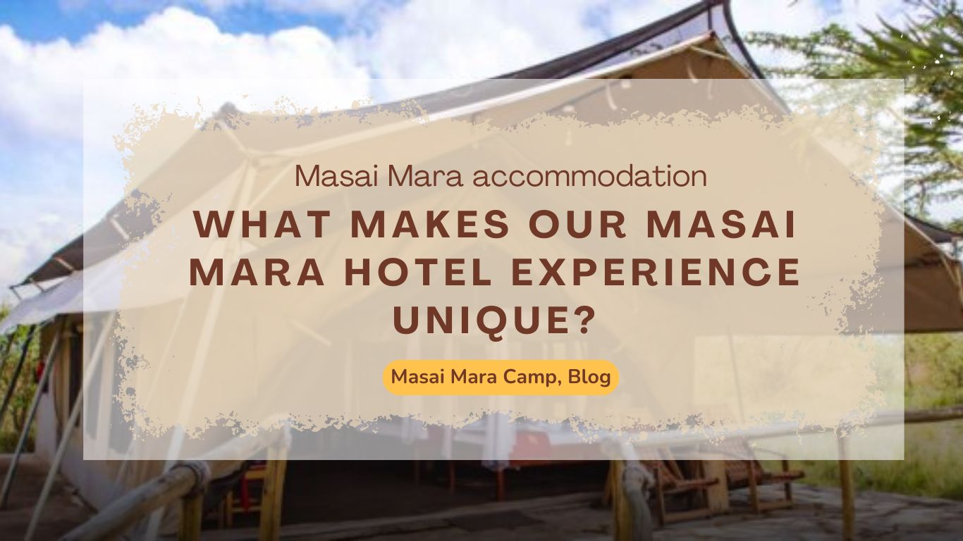 what-makes-our-masai-mara-hotel-experience-unique