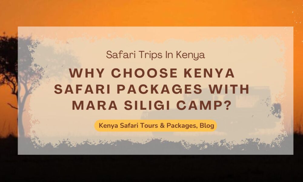 why-choose-kenya-safari-packages-with-mara-siligi-camp