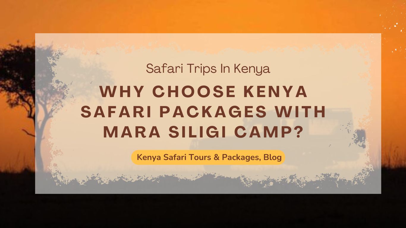 why-choose-kenya-safari-packages-with-mara-siligi-camp