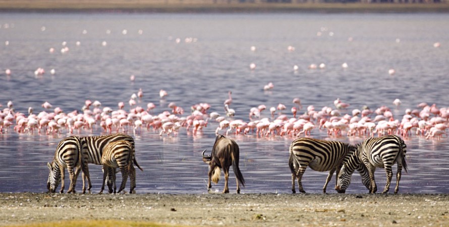 Masai Mara packages
