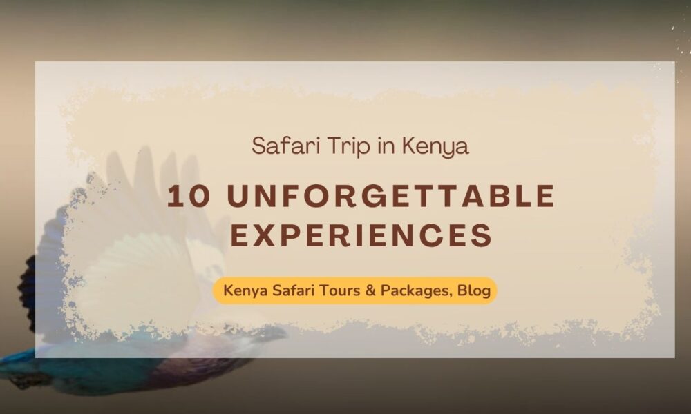10-unforgettable-experiences-on-your-safari-trip-in-kenya