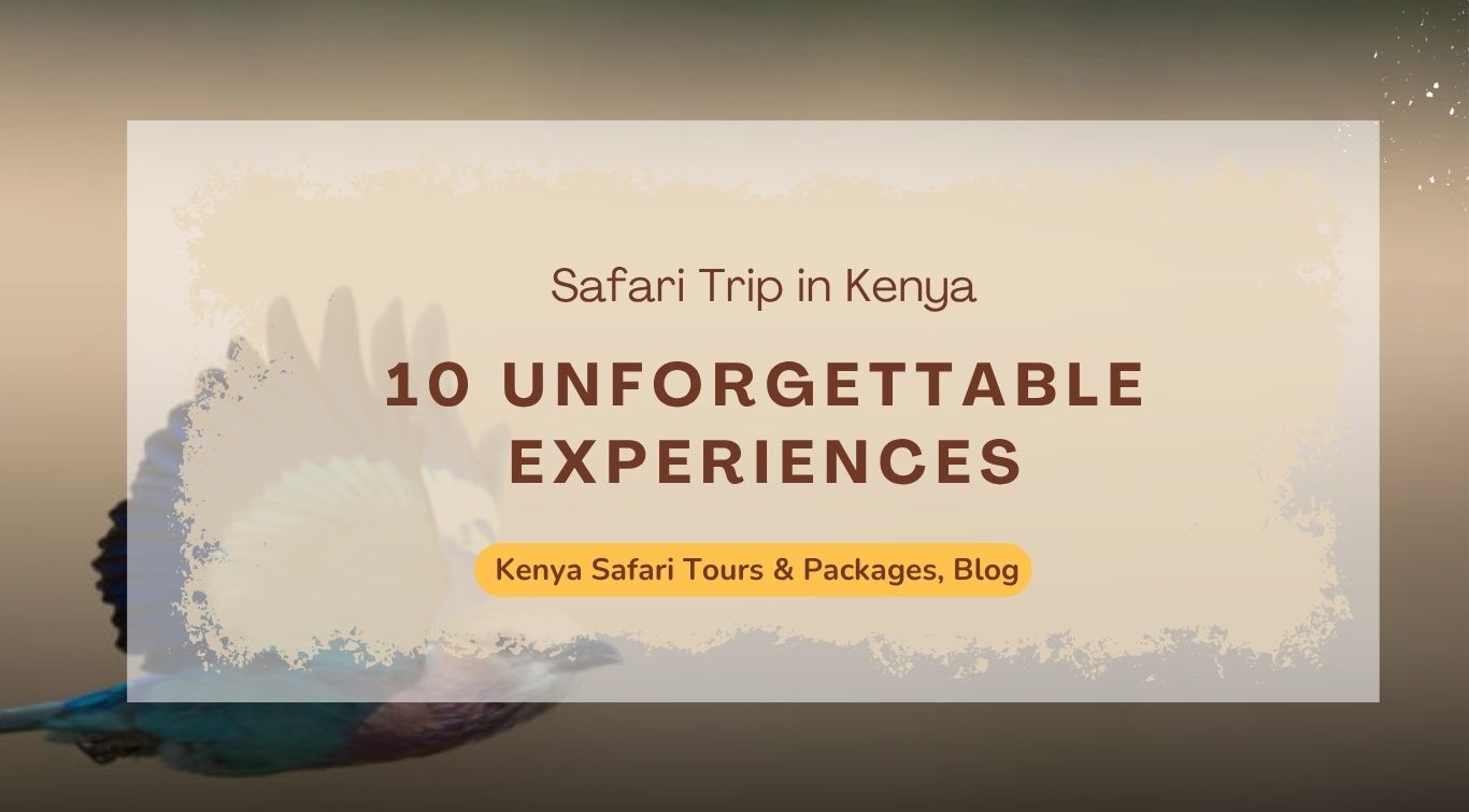 10-unforgettable-experiences-on-your-safari-trip-in-kenya