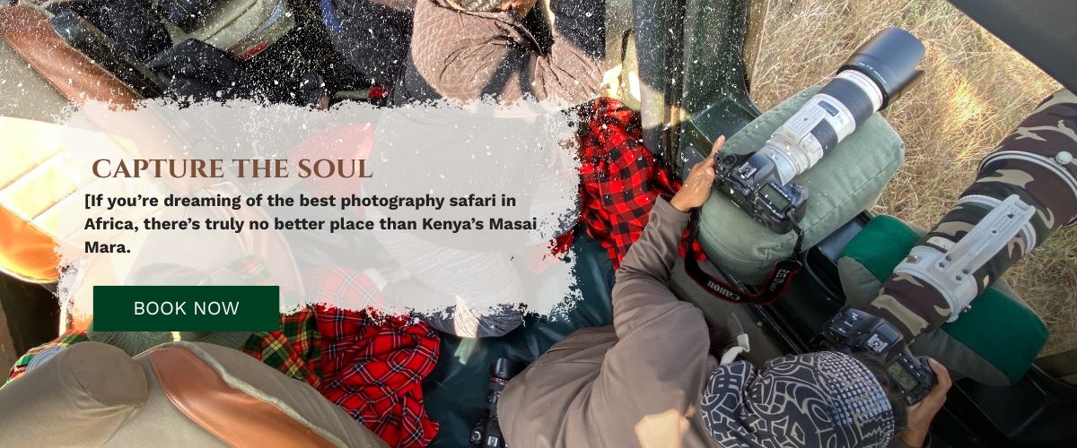 Masai Mara photography tours