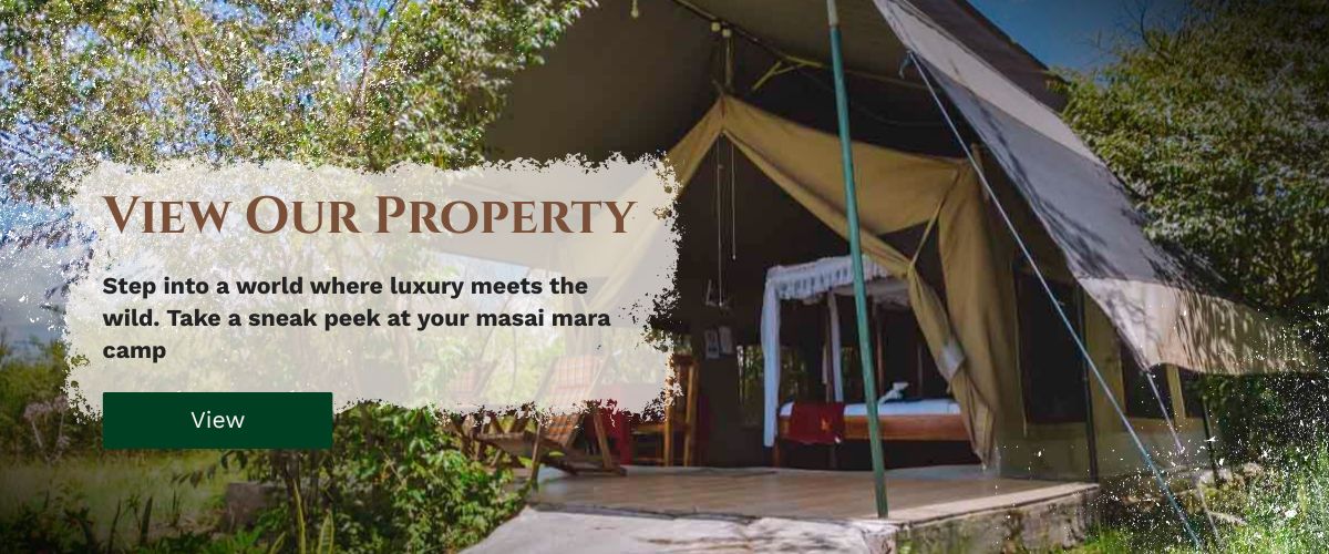 Masai Mara camp