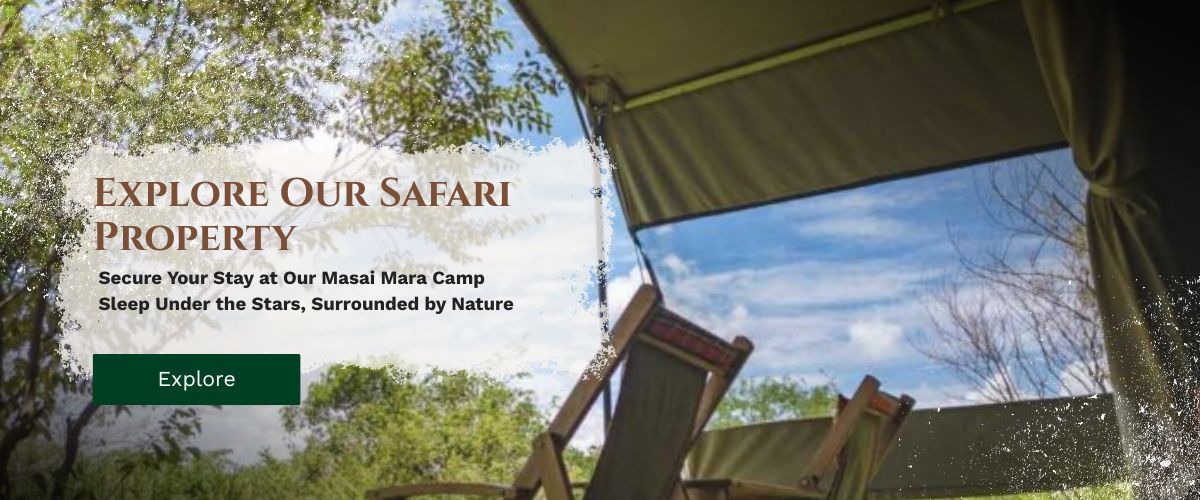masai-mara-camp
