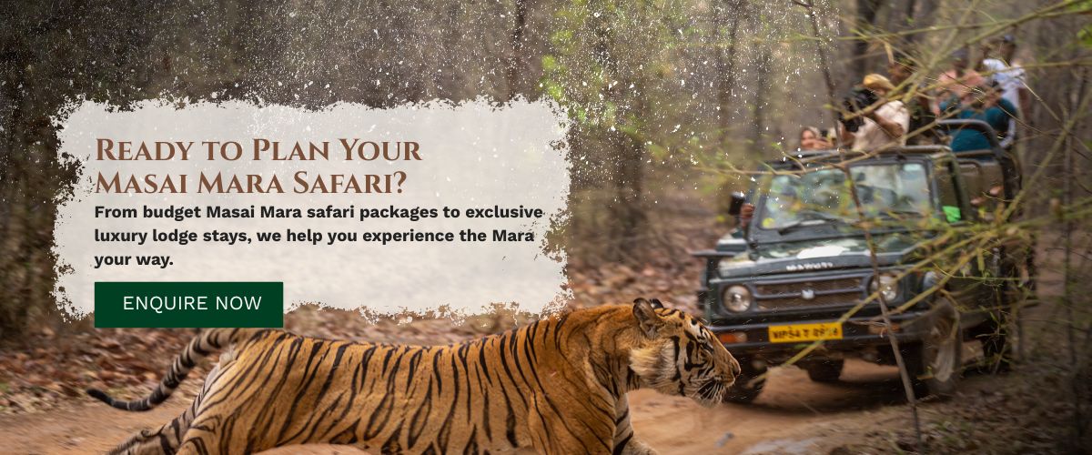Masai Mara packages
