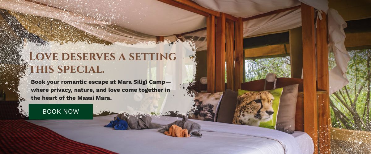 masai mara hotel