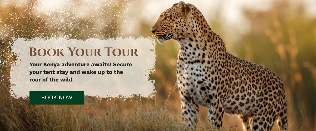 Masai Mara photography tours