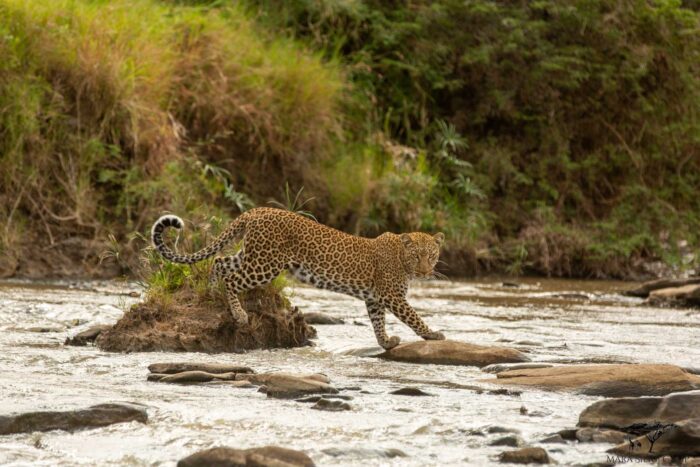 masai mara packages