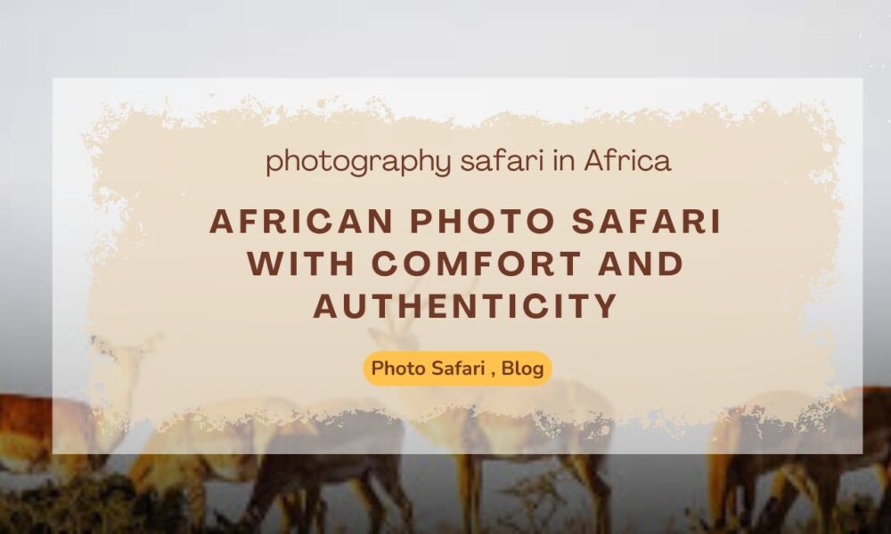 African Photo Safari with Comfort and Authenticity