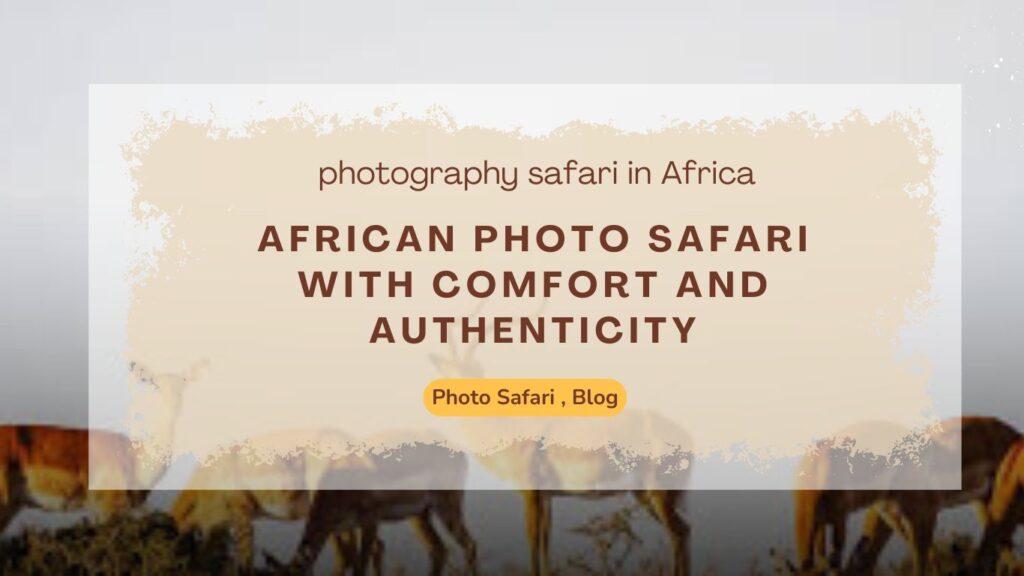 African Photo Safari with Comfort and Authenticity