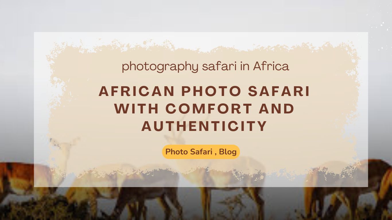 African Photo Safari with Comfort and Authenticity