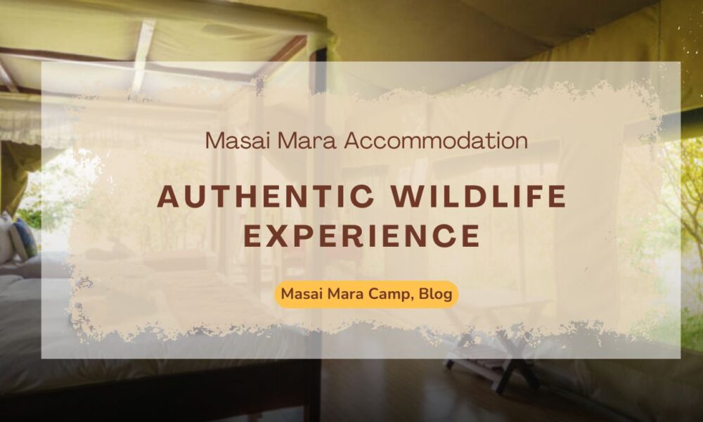 Authentic Masai Mara Accommodation & Wildlife Experience