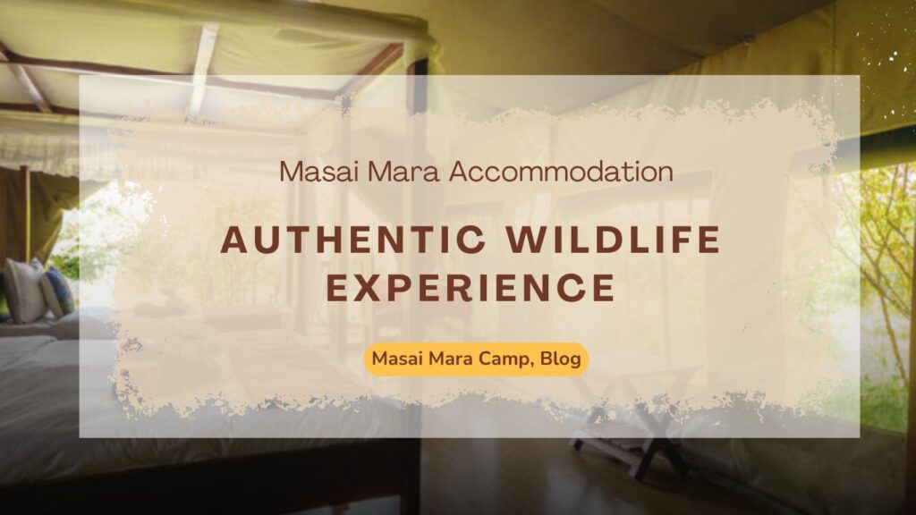 Authentic Masai Mara Accommodation & Wildlife Experience