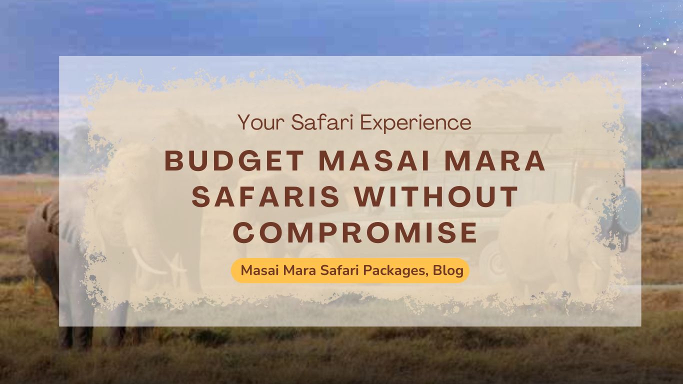 best-budget-friendly-masai-mara-safari-without-compromising-experience