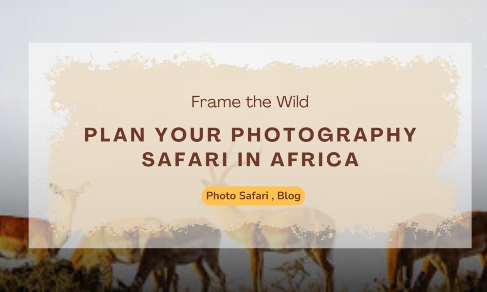 frame-the-wild-plan-your-photography-safari-in-africa