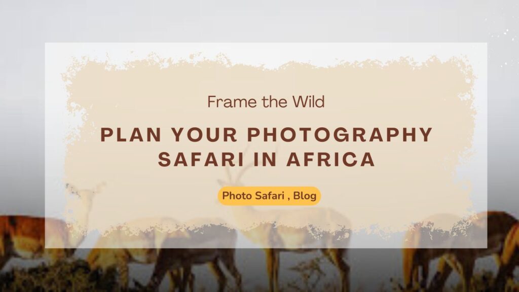 frame-the-wild-plan-your-photography-safari-in-africa