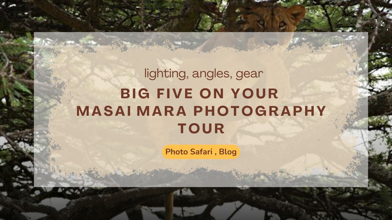 how-to-capture-the-big-five-on-your-masai-mara-photography-tour