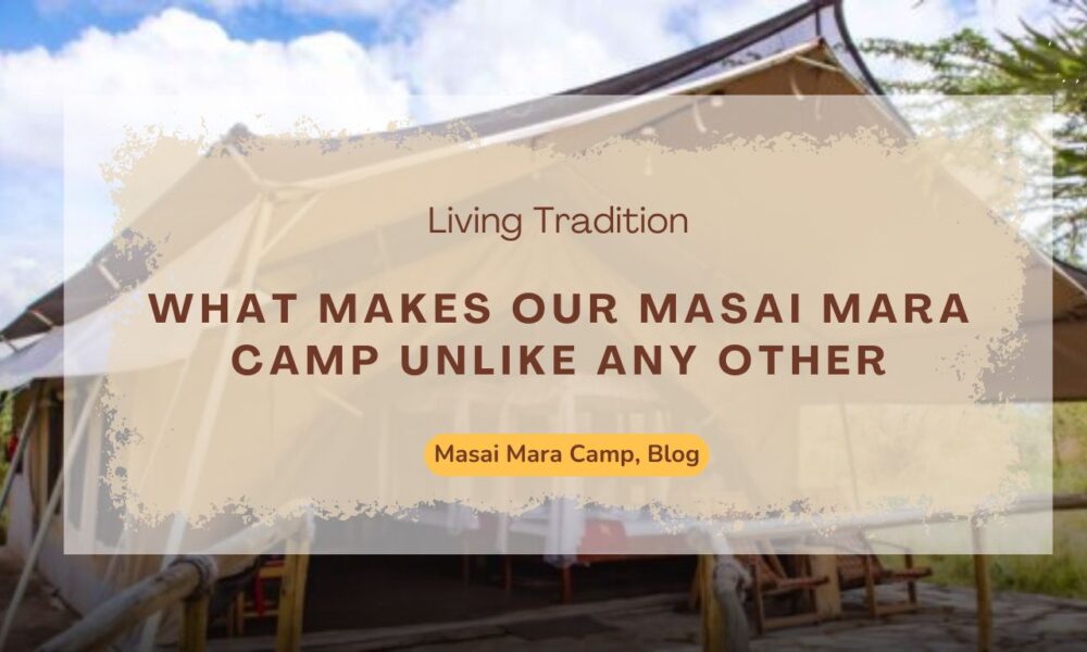 Living Tradition: What Makes Our Masai Mara Camp Unlike Any Other