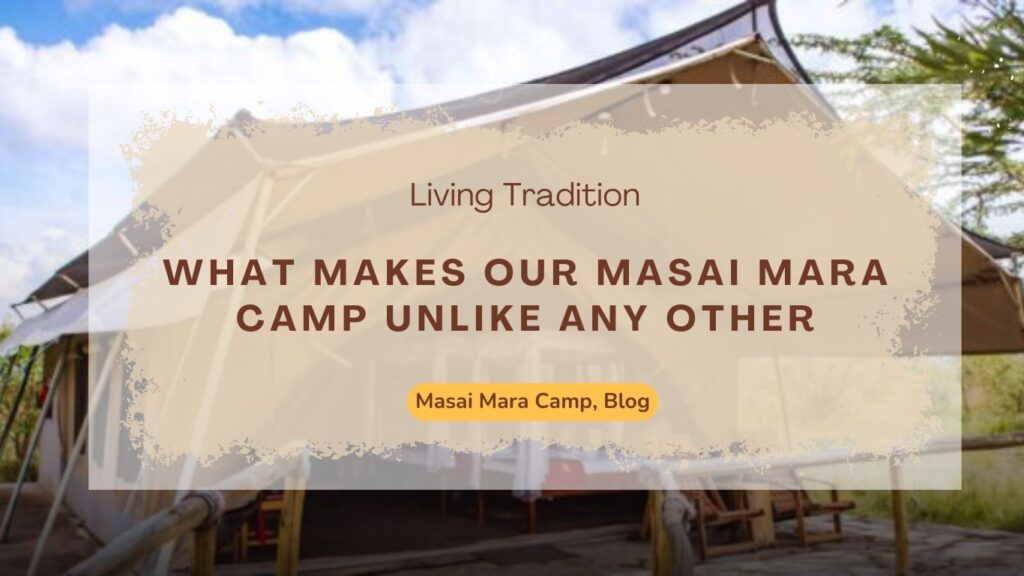 Living Tradition: What Makes Our Masai Mara Camp Unlike Any Other