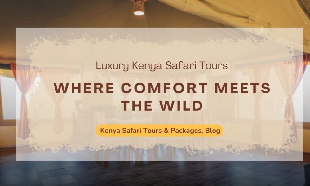 luxury-kenya-safari-tours-where-comfort-meets-the-wild
