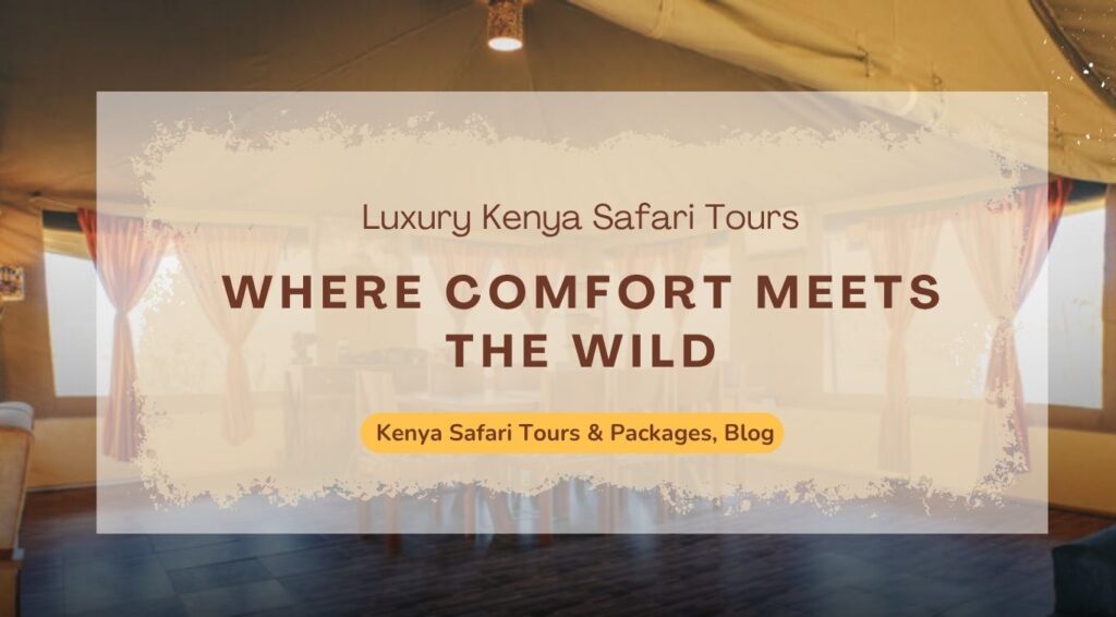luxury-kenya-safari-tours-where-comfort-meets-the-wild