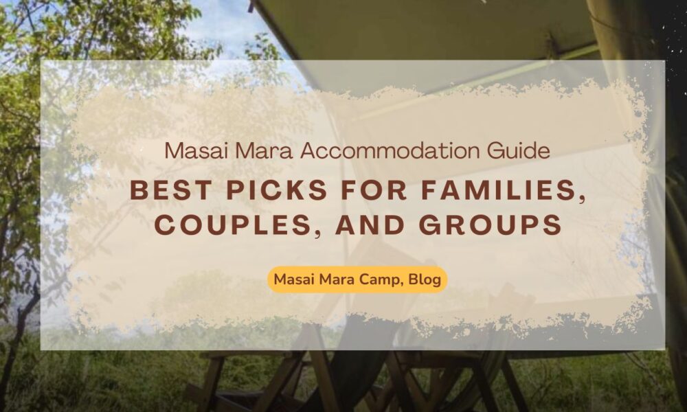 masai-mara-accommodation-for-families-couples-and-groups