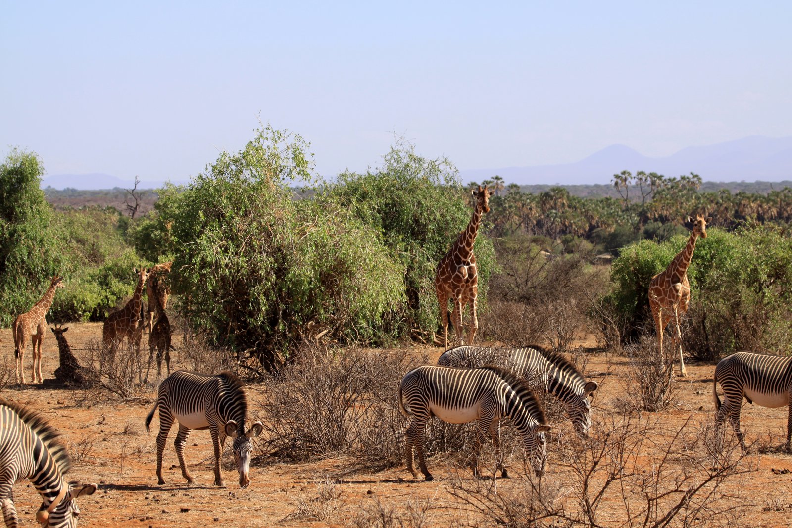 Samburu-National-Reserve