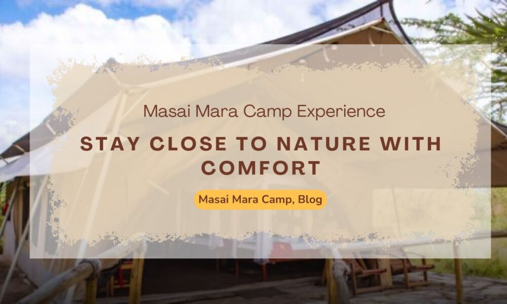 stay-close-to-nature-with-comfort-the-perfect-masai-mara-camp-experience
