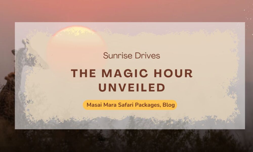 sunrise-drives-in-masai-mara-safari-the-magic-hour-unveiled