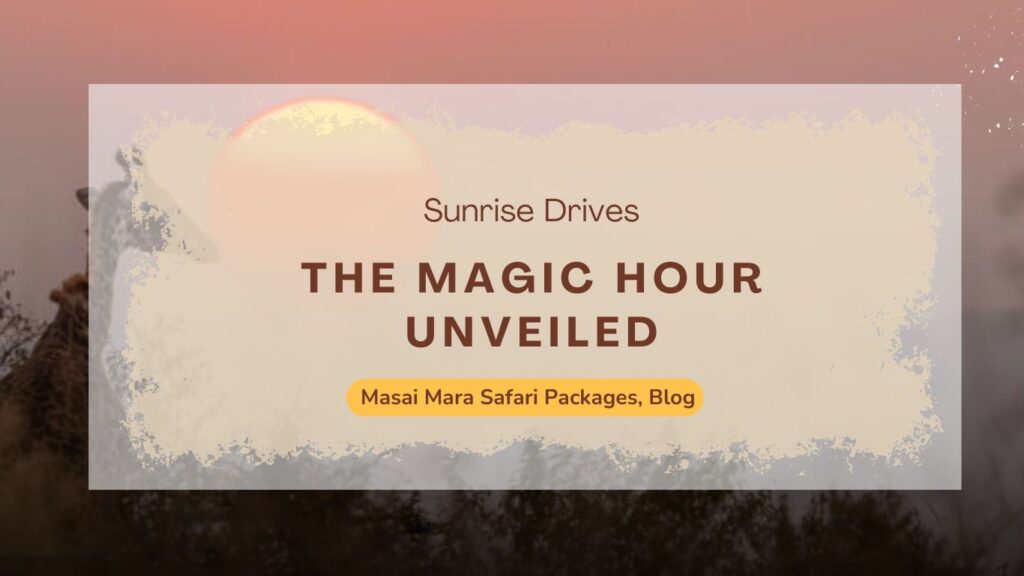 sunrise-drives-in-masai-mara-safari-the-magic-hour-unveiled