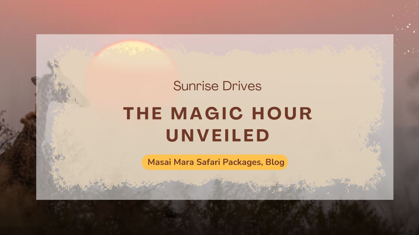 sunrise-drives-in-masai-mara-safari-the-magic-hour-unveiled