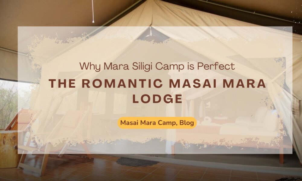 the-romantic-masai-mara-lodge-why-mara-siligi-camp-is-perfect